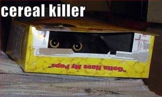 Cereal Killer.jpg